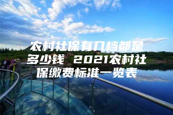 农村社保有几档都是多少钱 2021农村社保缴费标准一览表