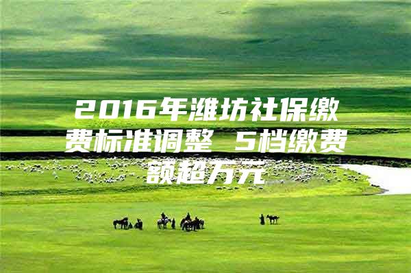 2016年潍坊社保缴费标准调整 5档缴费额超万元