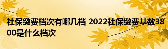 社保缴费档次有哪几档 2022社保缴费基数3800是什么档次