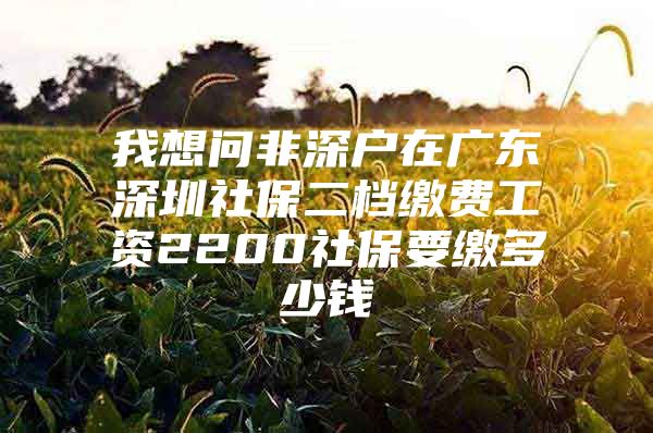 我想问非深户在广东深圳社保二档缴费工资2200社保要缴多少钱