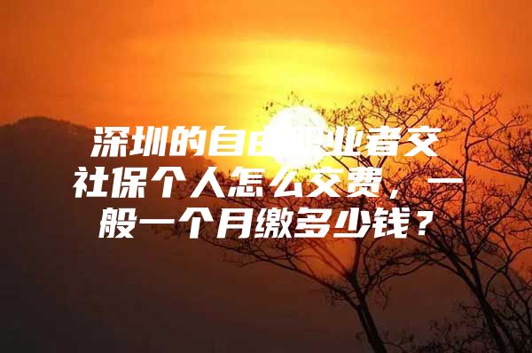 深圳的自由职业者交社保个人怎么交费，一般一个月缴多少钱？