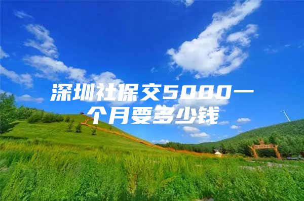 深圳社保交5000一个月要多少钱