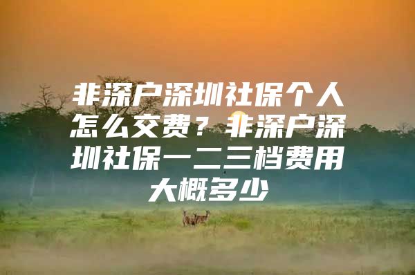 非深户深圳社保个人怎么交费？非深户深圳社保一二三档费用大概多少