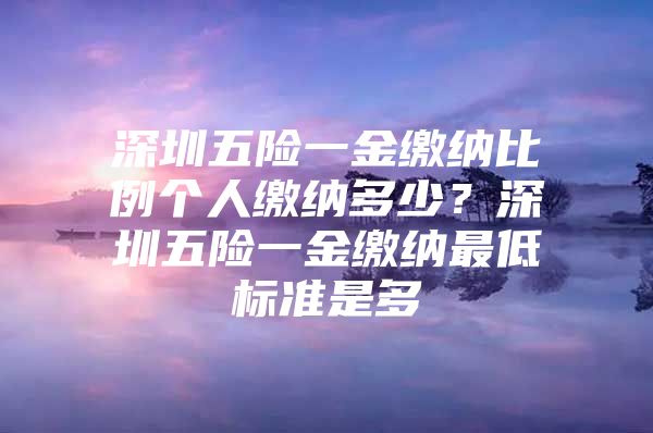 深圳五险一金缴纳比例个人缴纳多少？深圳五险一金缴纳最低标准是多