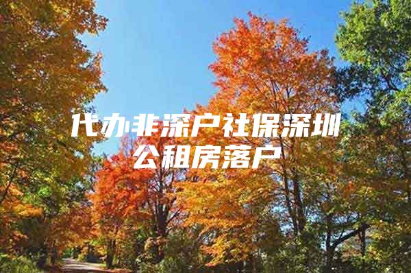 代办非深户社保深圳公租房落户