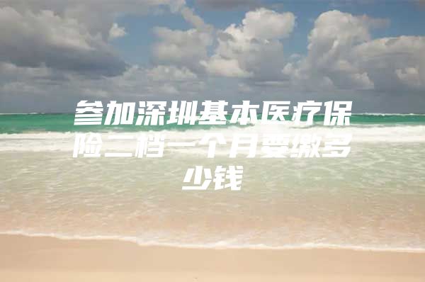 参加深圳基本医疗保险二档一个月要缴多少钱