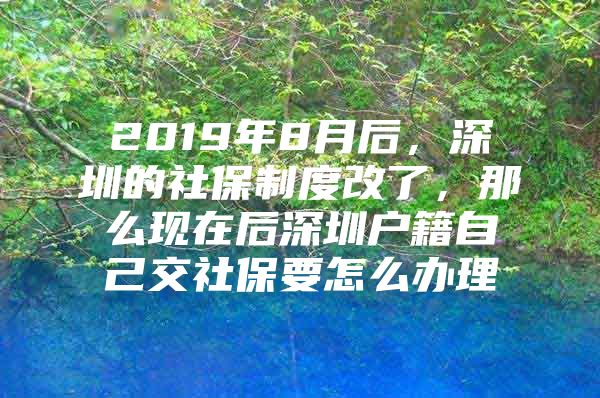 2019年8月后，深圳的社保制度改了，那么现在后深圳户籍自己交社保要怎么办理