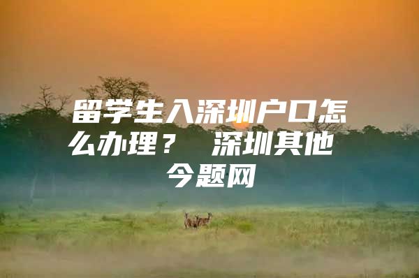 留学生入深圳户口怎么办理？ 深圳其他 今题网