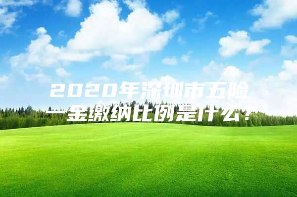 2020年深圳市五险一金缴纳比例是什么？