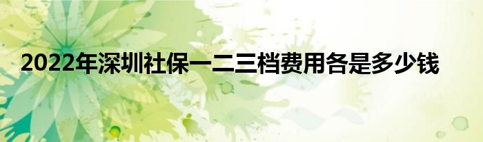 2022年深圳社保一二三档费用各是多少钱