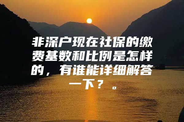 非深户现在社保的缴费基数和比例是怎样的，有谁能详细解答一下？。