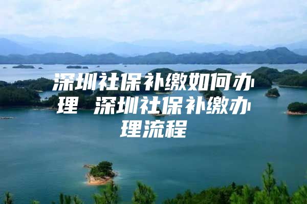 深圳社保补缴如何办理 深圳社保补缴办理流程