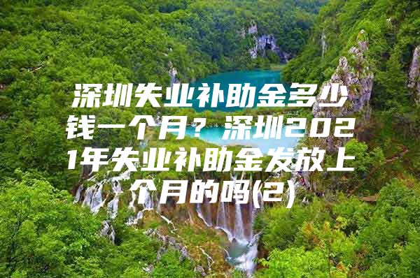 深圳失业补助金多少钱一个月？深圳2021年失业补助金发放上个月的吗(2)