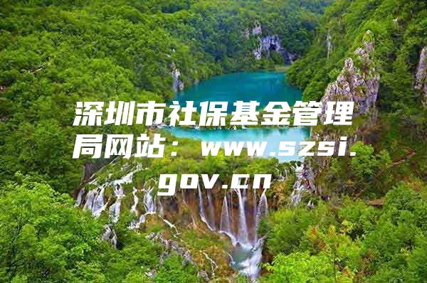 深圳市社保基金管理局网站：www.szsi.gov.cn