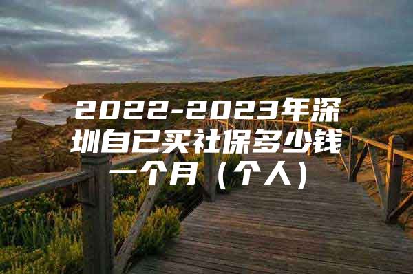 2022-2023年深圳自已买社保多少钱一个月（个人）