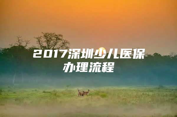 2017深圳少儿医保办理流程