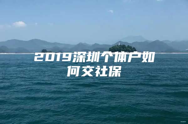 2019深圳个体户如何交社保