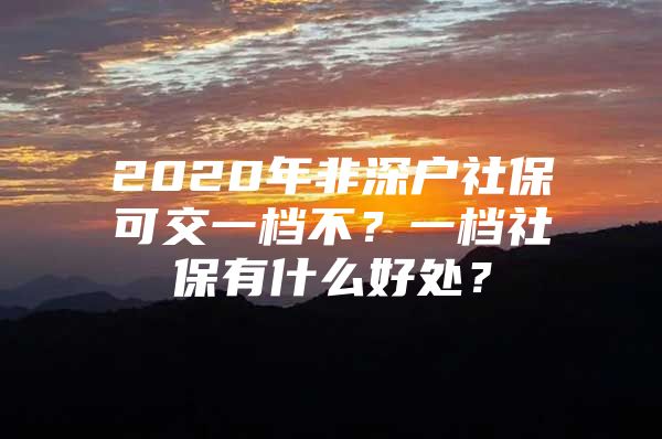 2020年非深户社保可交一档不？一档社保有什么好处？