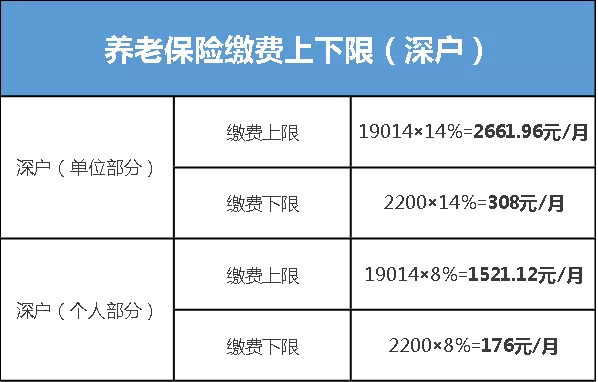 深圳社保各类缴费明细详情