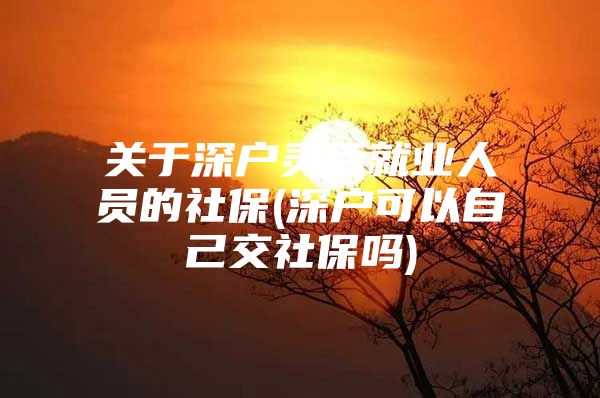 关于深户灵活就业人员的社保(深户可以自己交社保吗)