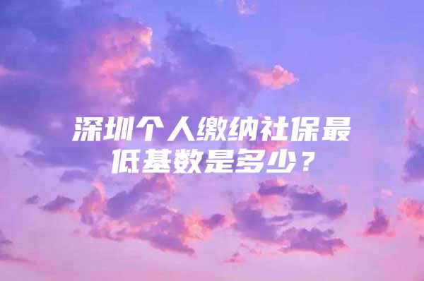 深圳个人缴纳社保最低基数是多少？