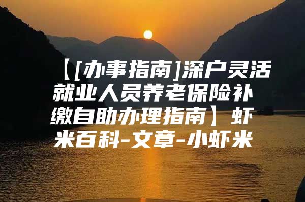 【[办事指南]深户灵活就业人员养老保险补缴自助办理指南】虾米百科-文章-小虾米