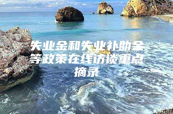 失业金和失业补助金等政策在线访谈重点摘录