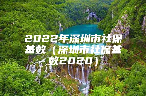 2022年深圳市社保基数（深圳市社保基数2020）