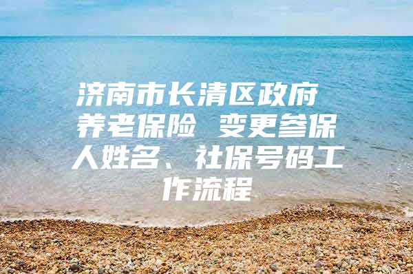 济南市长清区政府 养老保险 变更参保人姓名、社保号码工作流程