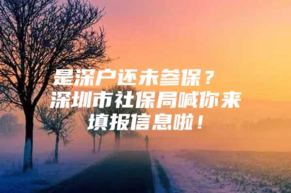 是深户还未参保？ 深圳市社保局喊你来填报信息啦！