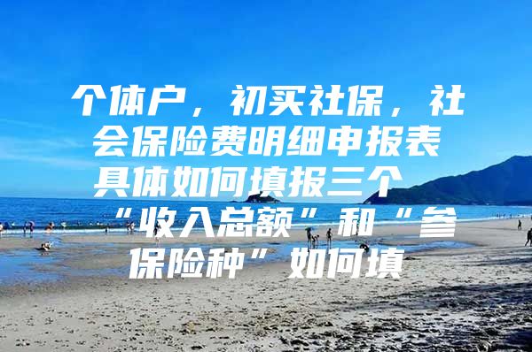 个体户，初买社保，社会保险费明细申报表具体如何填报三个“收入总额”和“参保险种”如何填