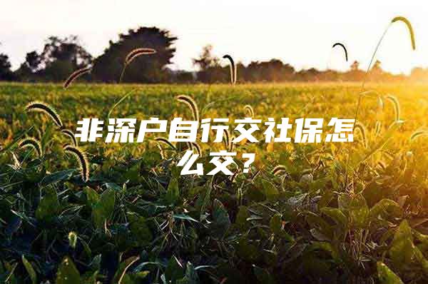 非深户自行交社保怎么交？