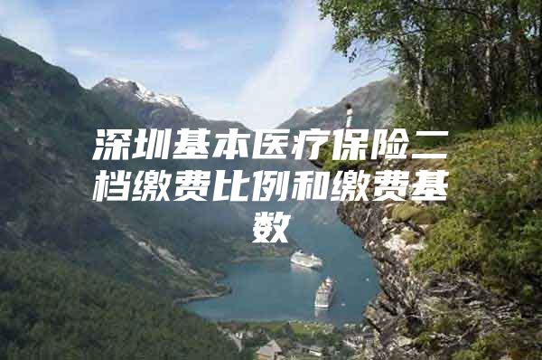 深圳基本医疗保险二档缴费比例和缴费基数