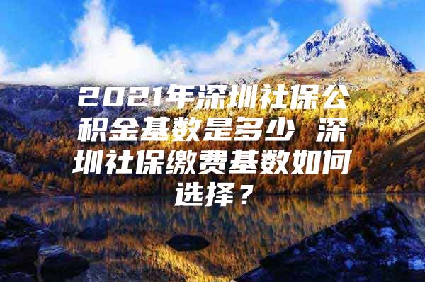 2021年深圳社保公积金基数是多少 深圳社保缴费基数如何选择？