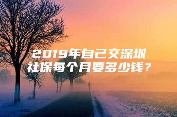 2019年自己交深圳社保每个月要多少钱？