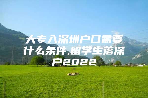 大专入深圳户口需要什么条件,留学生落深户2022