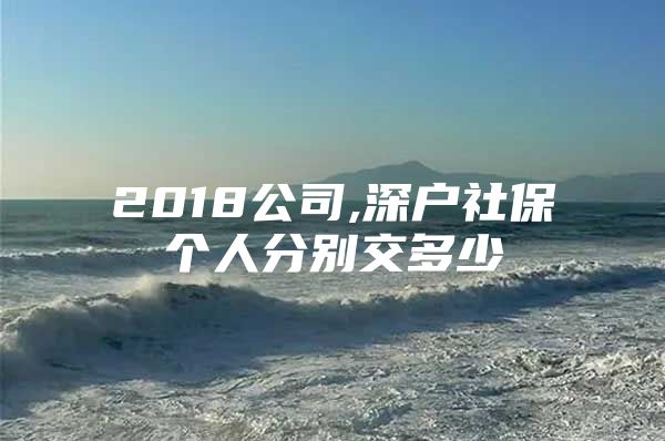 2018公司,深户社保个人分别交多少