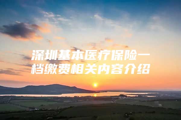 深圳基本医疗保险一档缴费相关内容介绍