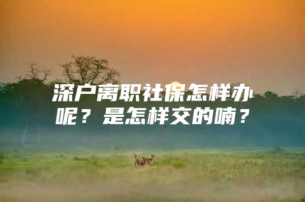 深户离职社保怎样办呢？是怎样交的喃？