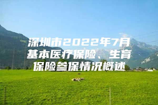 深圳市2022年7月基本医疗保险、生育保险参保情况概述