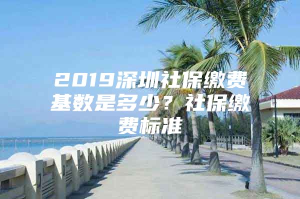 2019深圳社保缴费基数是多少？社保缴费标准