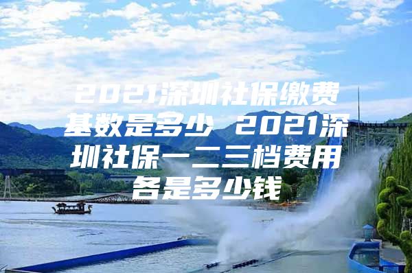 2021深圳社保缴费基数是多少 2021深圳社保一二三档费用各是多少钱