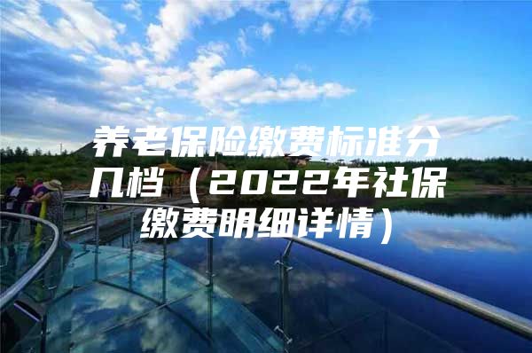 养老保险缴费标准分几档（2022年社保缴费明细详情）