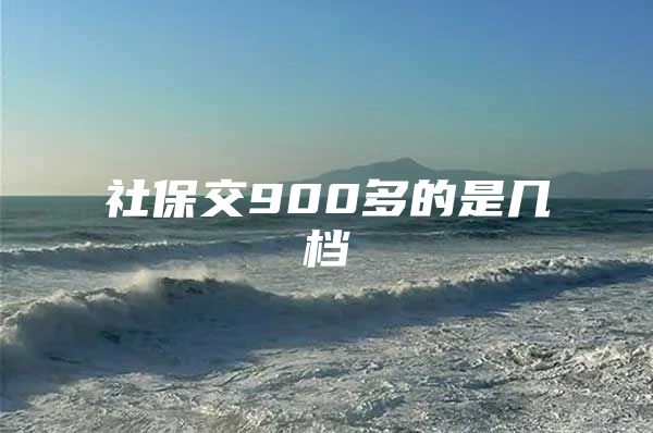 社保交900多的是几档