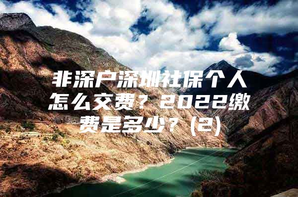 非深户深圳社保个人怎么交费？2022缴费是多少？(2)