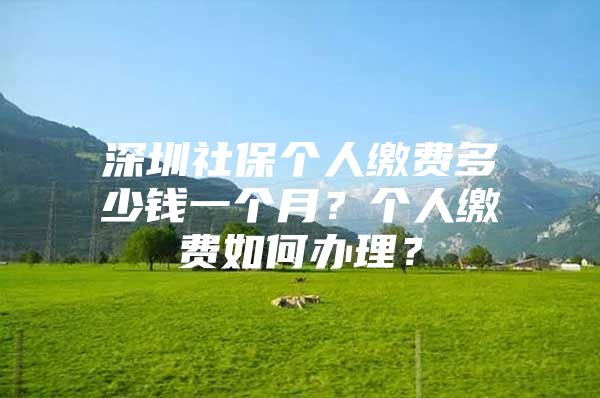 深圳社保个人缴费多少钱一个月？个人缴费如何办理？