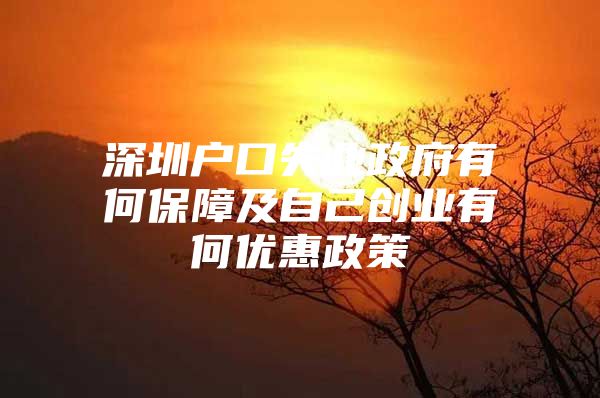 深圳户口失业政府有何保障及自己创业有何优惠政策