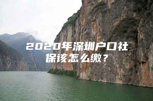 2020年深圳户口社保该怎么缴？