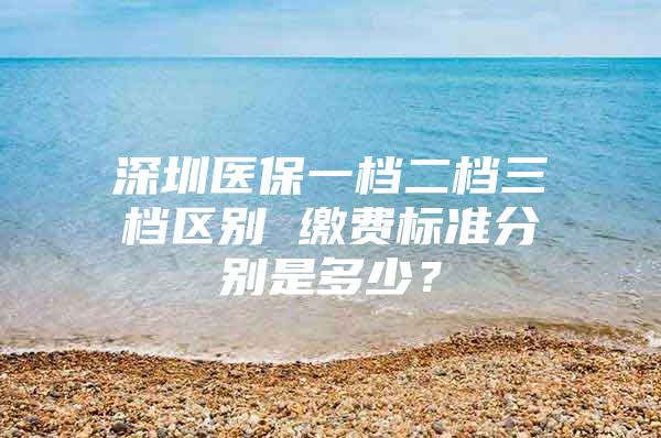 深圳医保一档二档三档区别 缴费标准分别是多少？