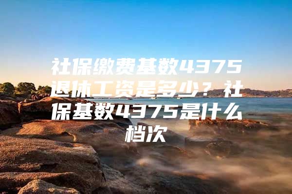 社保缴费基数4375退休工资是多少？社保基数4375是什么档次